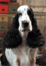 p&aring; trimmebordet i oph&oslash;jet ro!