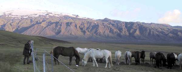 Island 2003: Ogs&aring; her den sidste aften kunne vi i &aring;r se gletcheren.
